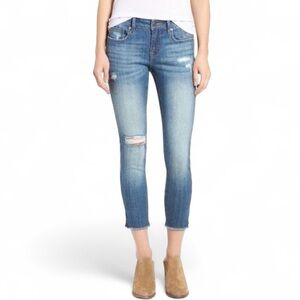 Vigoss The Chelsea Skinny Jean in Medium Wash Size 25/26